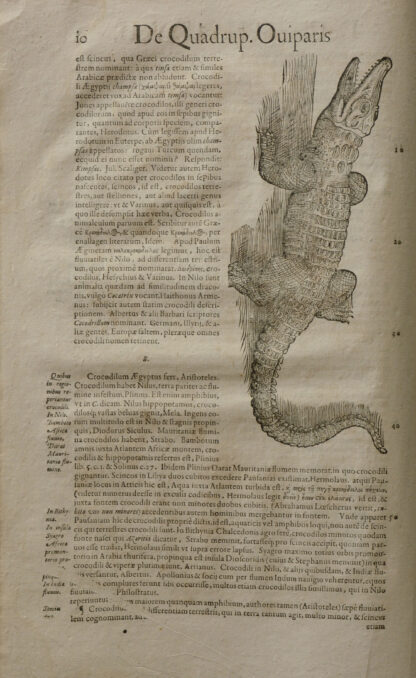 Conrad. -Historiae Animalium Liber II. Qui est de de Quadrupedibus oviparis.
