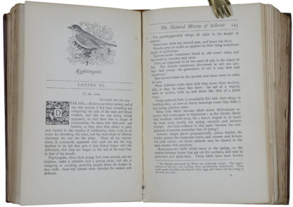 Gilbert. -The Natural History of Selborne.