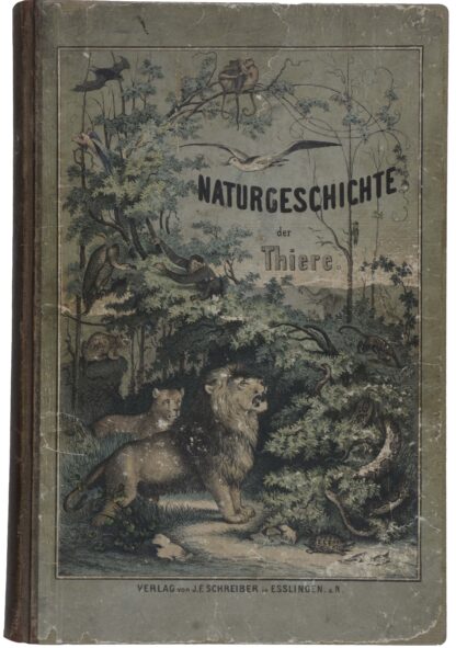 SCHUBERT