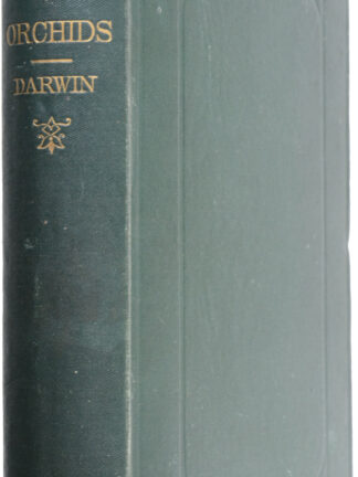 DARWIN