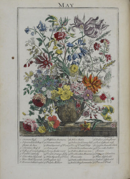 R(obert) und (Richard BRADLEY). -The Flower-Garden Display's