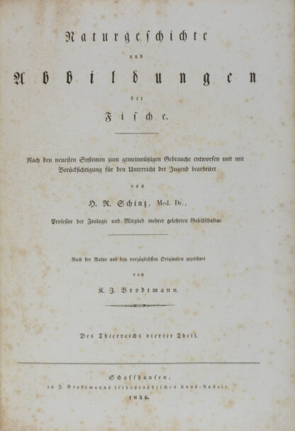H.R. -Naturgeschichte und Abbildungen der Fische.