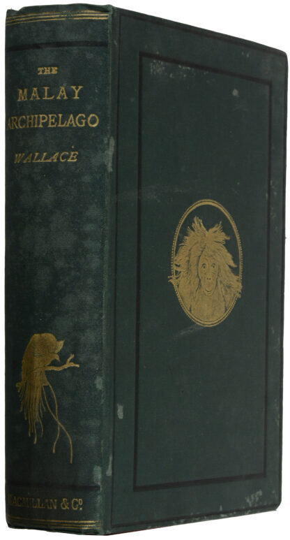 WALLACE