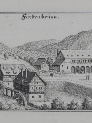 -HEIDELBERG. - FÜRSTENBRUNN. Gesamtansicht.