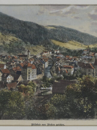 -WILDBAD/Schwarzw. Gesamtansicht.