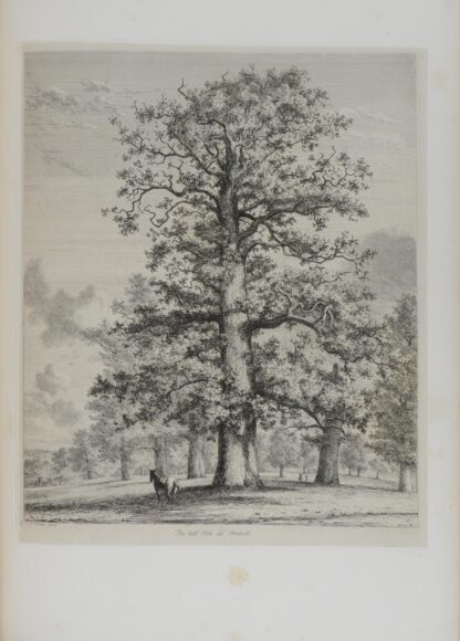 Jacob George. -Sylva Britannica;