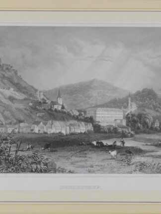 -DONAUSTAUF. Gesamtansicht.