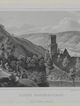 -FREUDENBERG/Main. Ansicht mit Ruine.