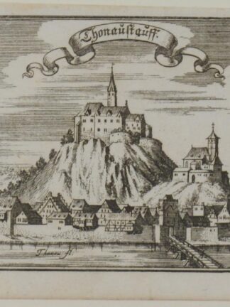 -DONAUSTAUF (Thonaustaff). Gesamtansicht.