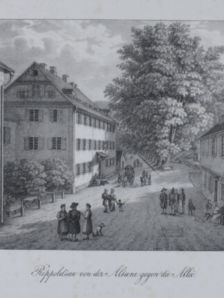 -RIPPOLDSAU. Teilansicht von der Altane gegen die Allee.
