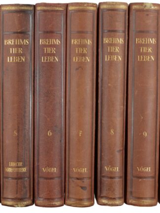 BREHM