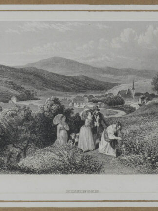 -BAD KISSINGEN. Gesamtansicht von einer Anhöhe aus.