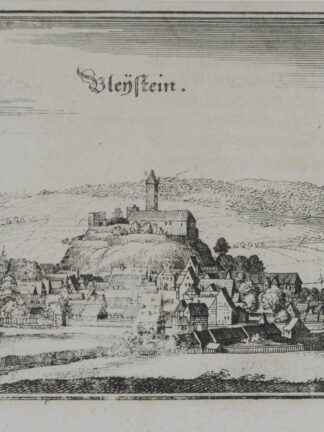 -PLEYSTEIN/Kr.Neustadt a.d.Waldnaab. Gesamtansicht.