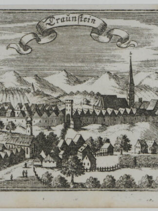 -TRAUNSTEIN. Gesamtansicht.