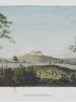 -JOHANNISBERG - Schlossansicht.