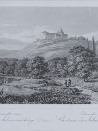 -JOHANNISBERG - Ansicht vom Schloss Johannisberg.