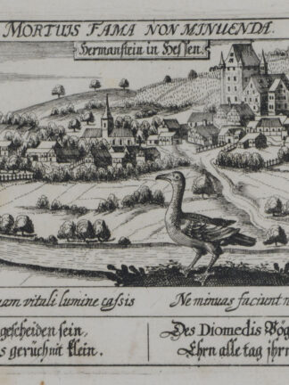 -Herrmannstein. Gesamtansicht.