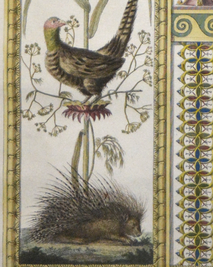 Giovanni. -Pilaster mit Darstellungen von Stachelschwein und Vögeln.