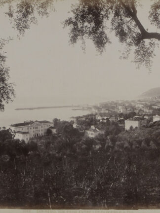 -SAN REMO. Vue prise entre les oliviers. Ansicht von San Remo.