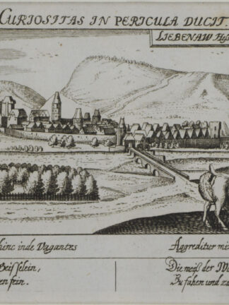 -LIEBENAU a.d. Diemel. Gesamtansicht.
