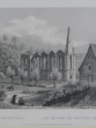 -MARIENTAL/b. Geisenheim. Ansicht mit Klosterruine.