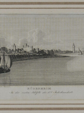 -RÜDESHEIM. Gesamtansicht.