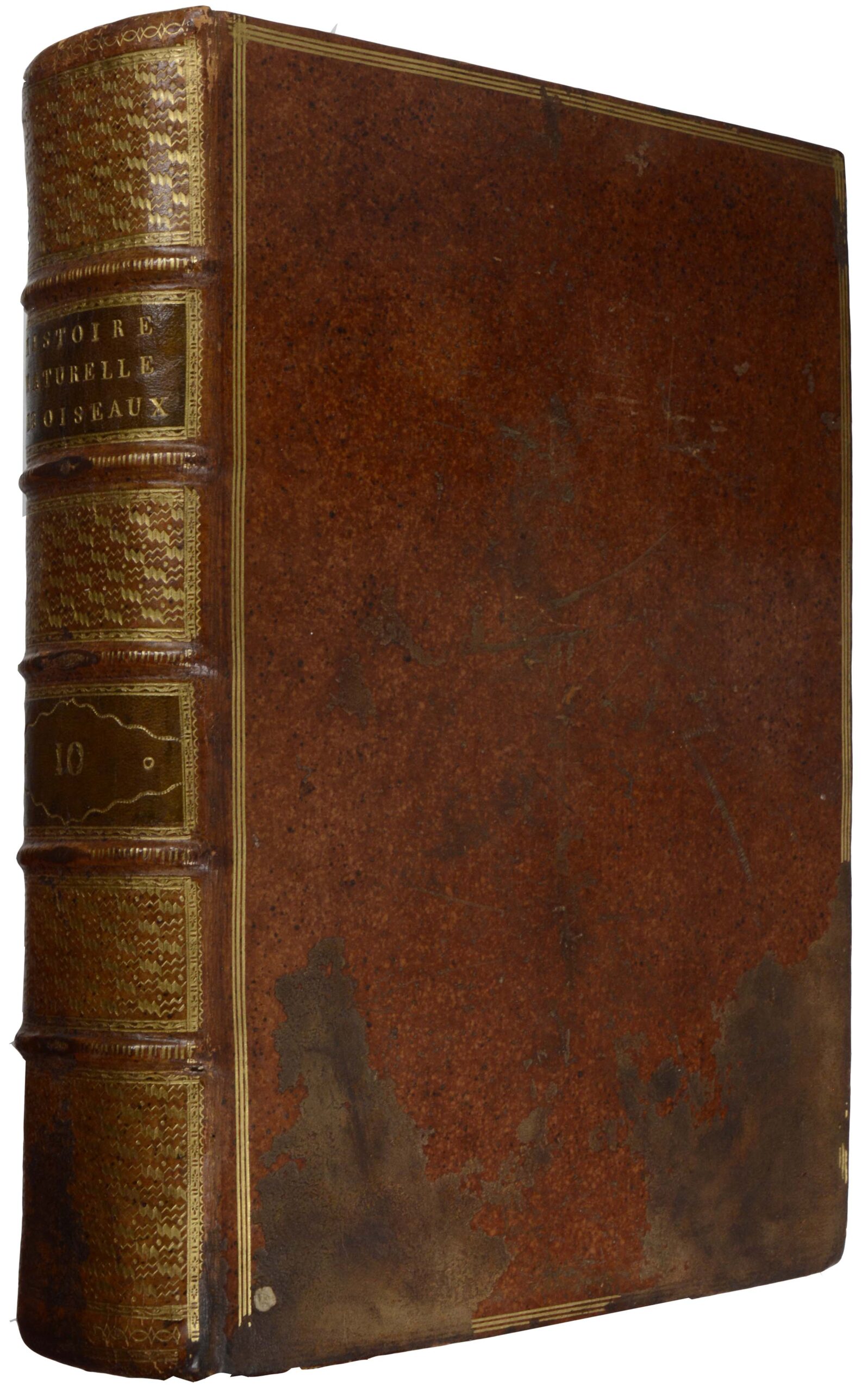 (G. L. L. de). -Histoire naturelle des oiseaux.