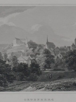 -ORTENBERG/Hessen. Gesamtansicht.