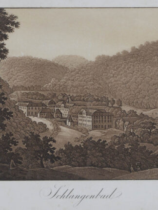 -SCHLANGENBAD/Ts. Gesamtansicht.