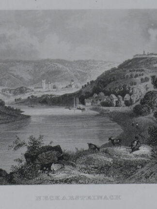 -NECKARSTEINACH. Gesamtansicht mit dem Neckartal.