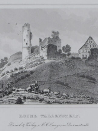-WALLENSTEIN. Ruinenansicht.