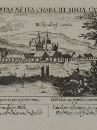 -WOLKERSDORF/b. Frankenberg a.d.Eder. Gesamtansicht.