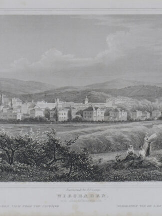 -WIESBADEN. Gesamtansicht von Osten.