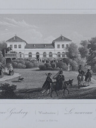 -WIESBADEN. Teilansicht mit dem neuen Geisberg.