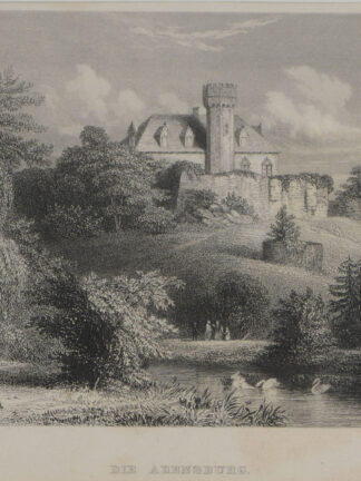 -ARENSBURG/Weser. Ansicht mit Schloß.