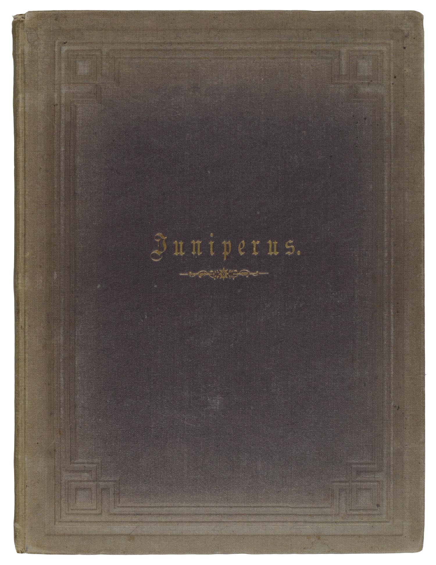 Joseph Victor. -Juniperus.