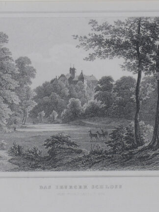 -BAD IBURG. Schloßansicht.