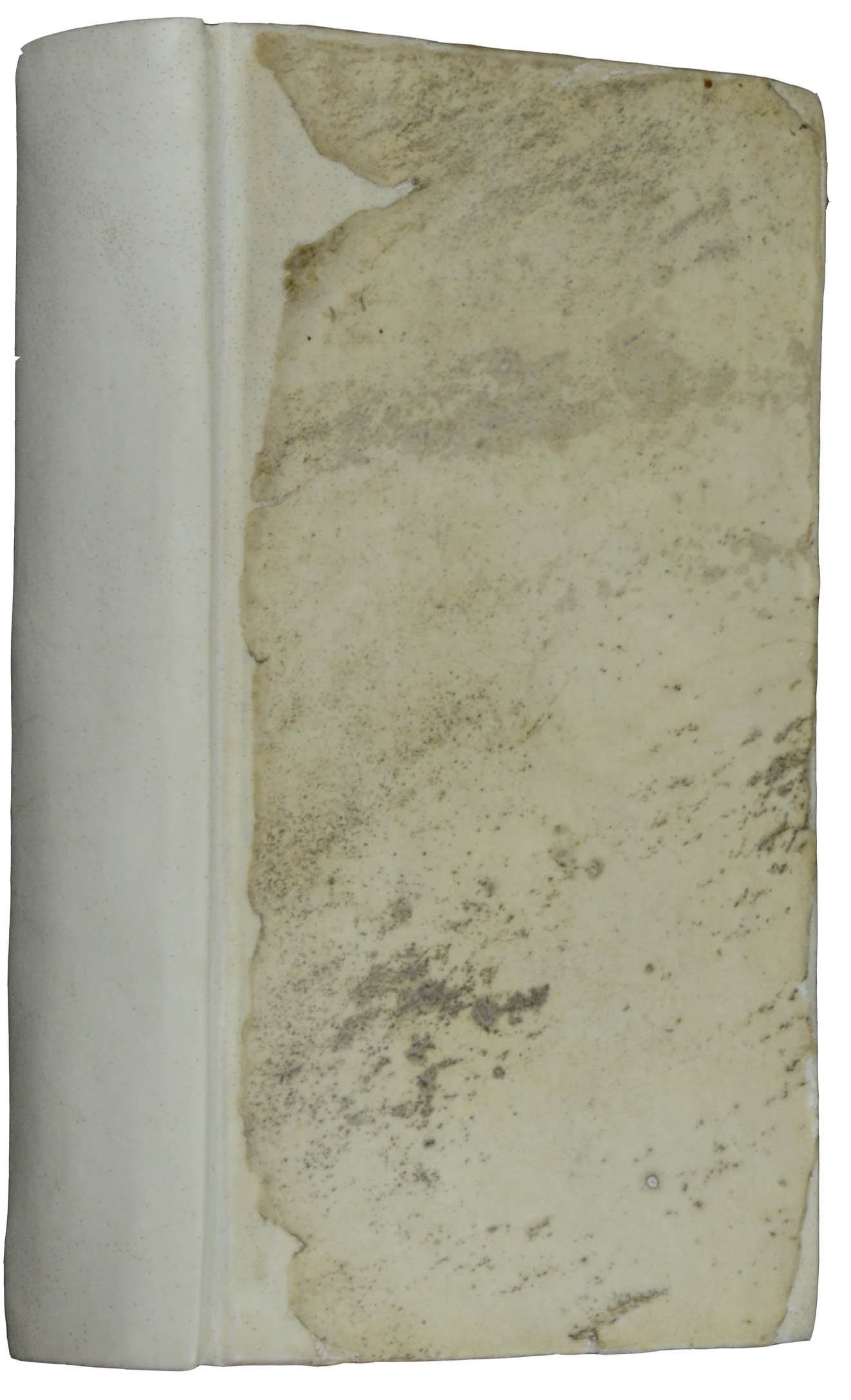LÖSCHEN – Bild 3