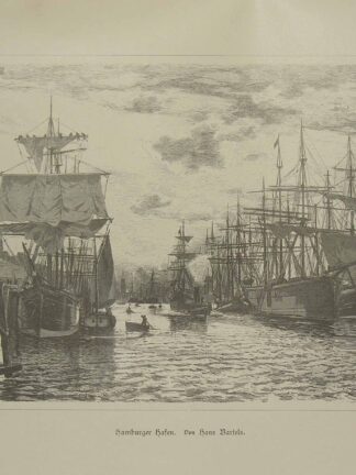 HOEFER