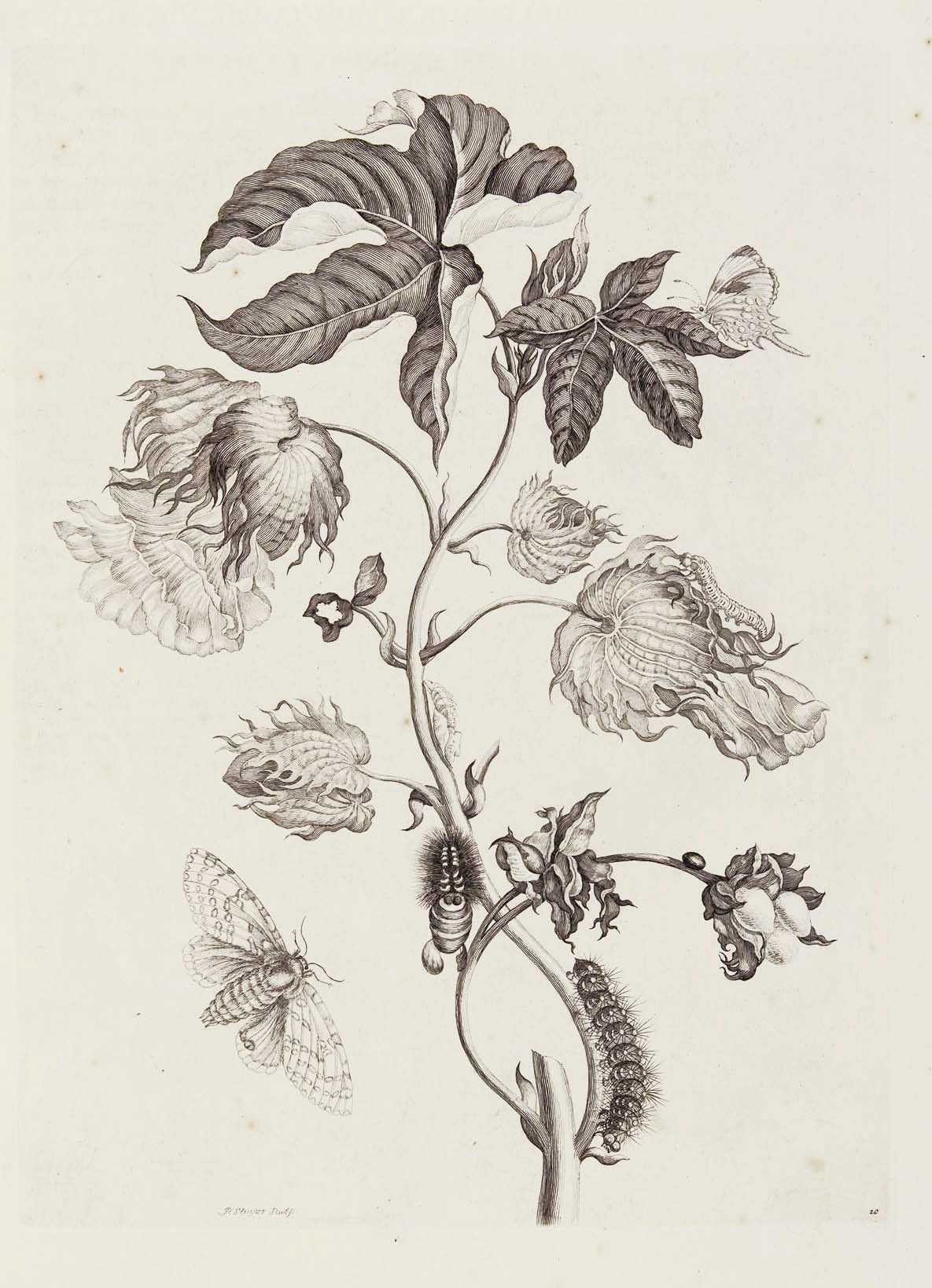 LÖSCHEN – Bild 4
