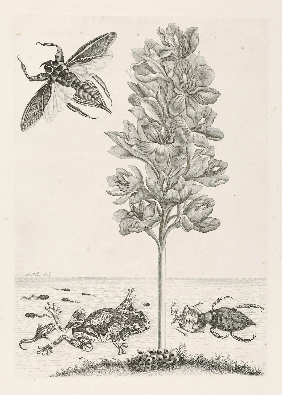 LÖSCHEN – Bild 5