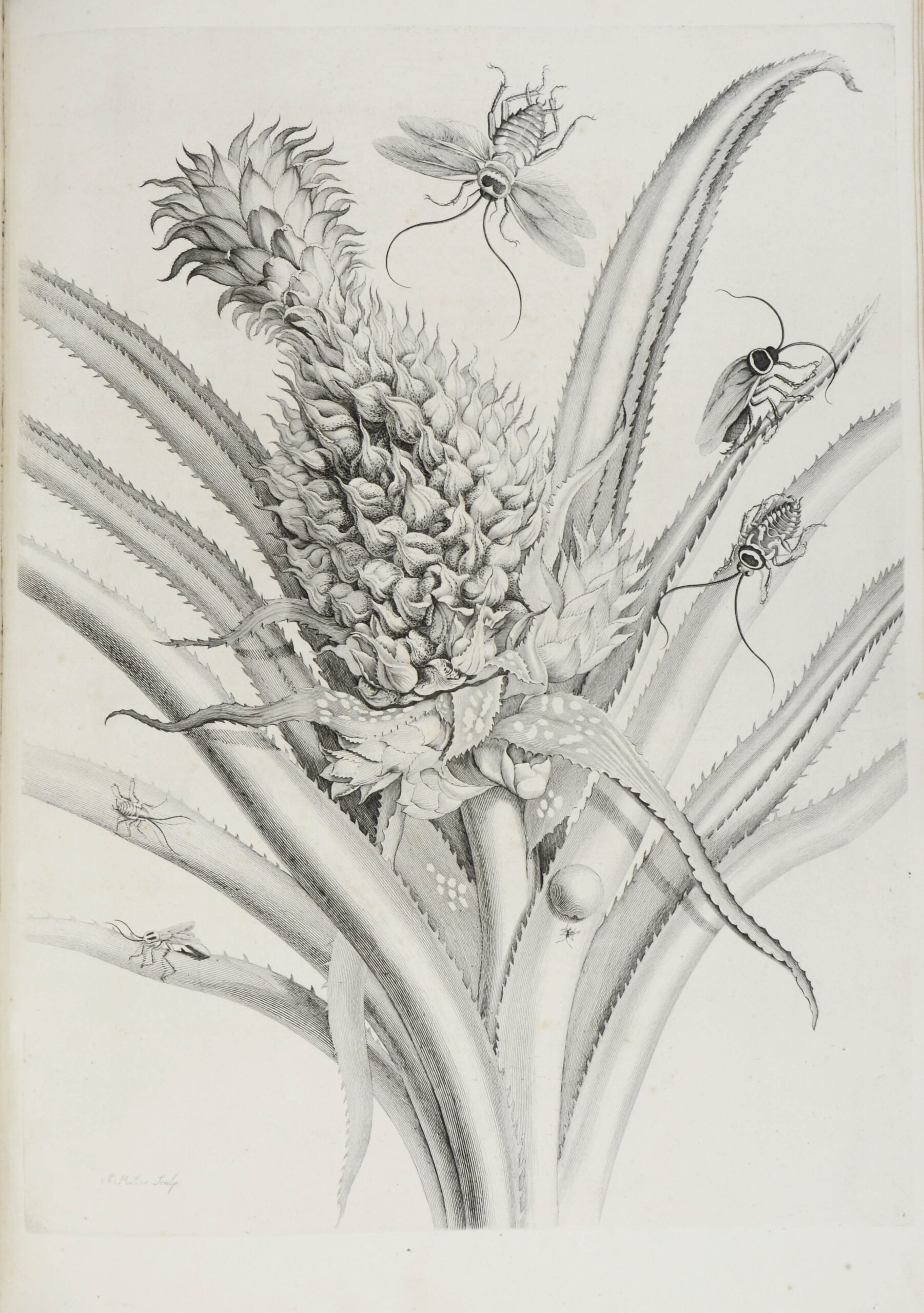 LÖSCHEN – Bild 6