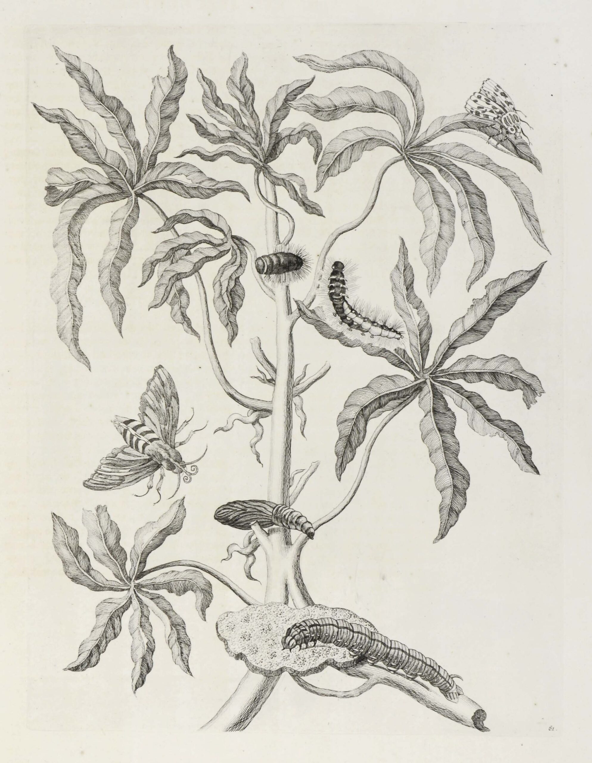 LÖSCHEN – Bild 9