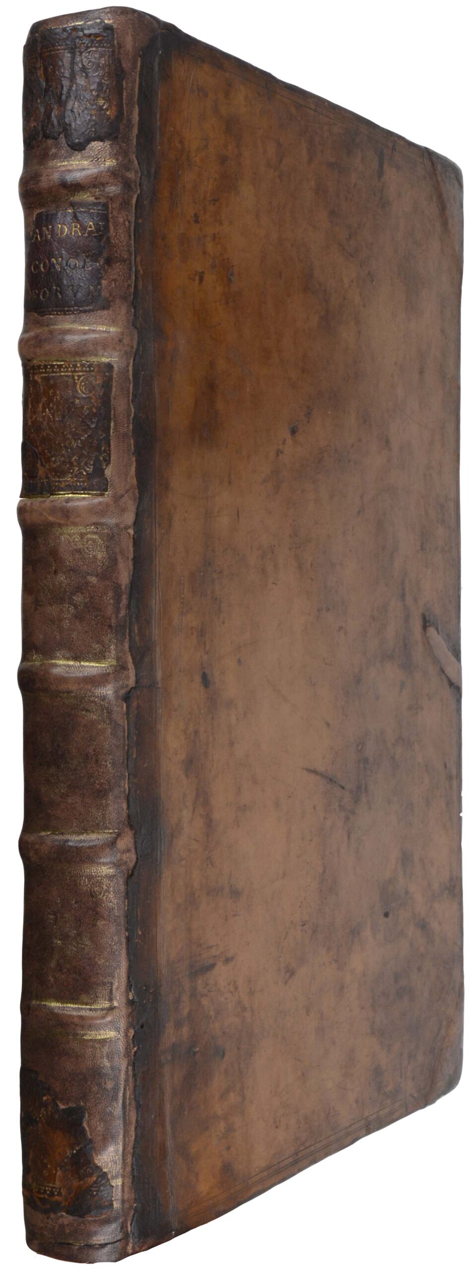 SANDRART, Joachim von. Iconologia Deorum oder Abbildung der Götter, Welche von den Alten verehret worden: Aus den Welt-berühmtesten Antichen der Griechischen und Römischen Statuen... <br />Samt dero eigentlicher Beschreibung, und Erklärung der Heidnischen Tempel-Ceremonien. – Bild 5