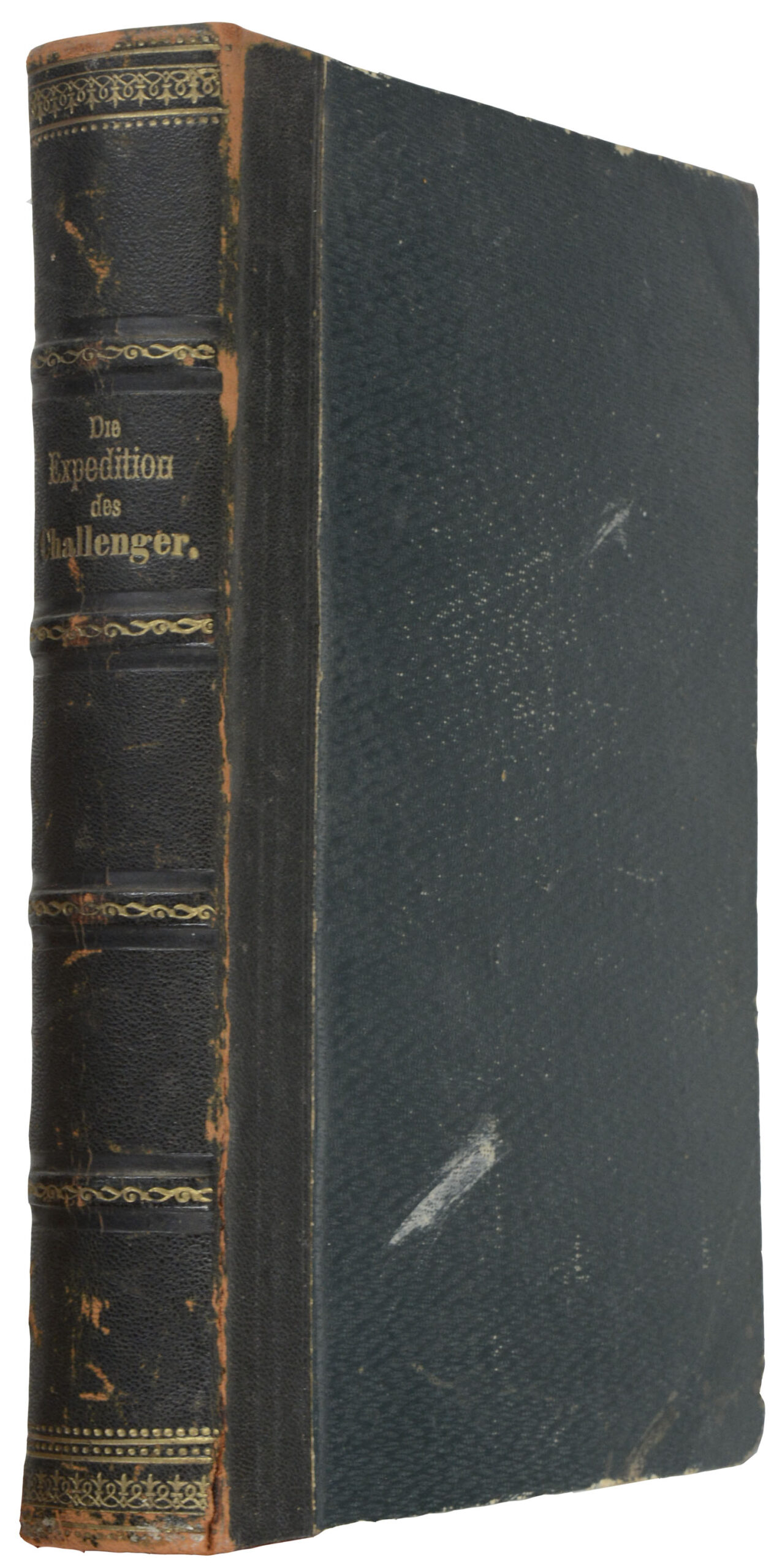 W.J.J. -Die Expedition des Challenger.